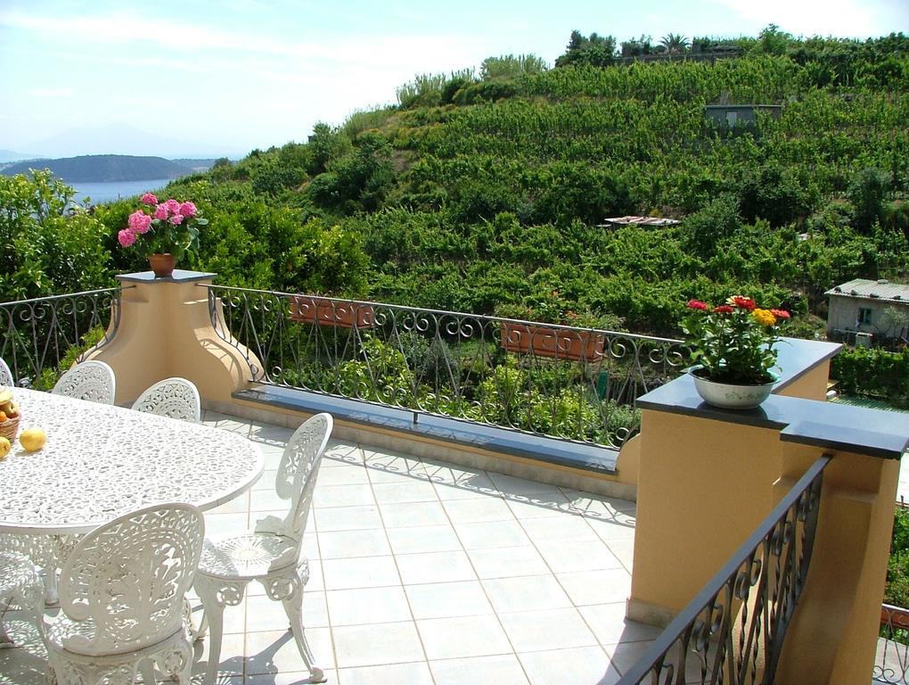 Villa Rosalia Barano d'Ischia ภายนอก รูปภาพ